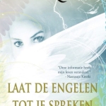 Laat de engelen tot je spreken - en bereik je ware doel